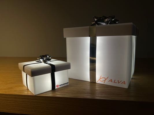 Deux boîtes lumineuses carismo avec les logos Bourdon et Alva
