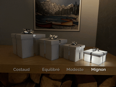 Les différents formats de boite lumineuse carismo
