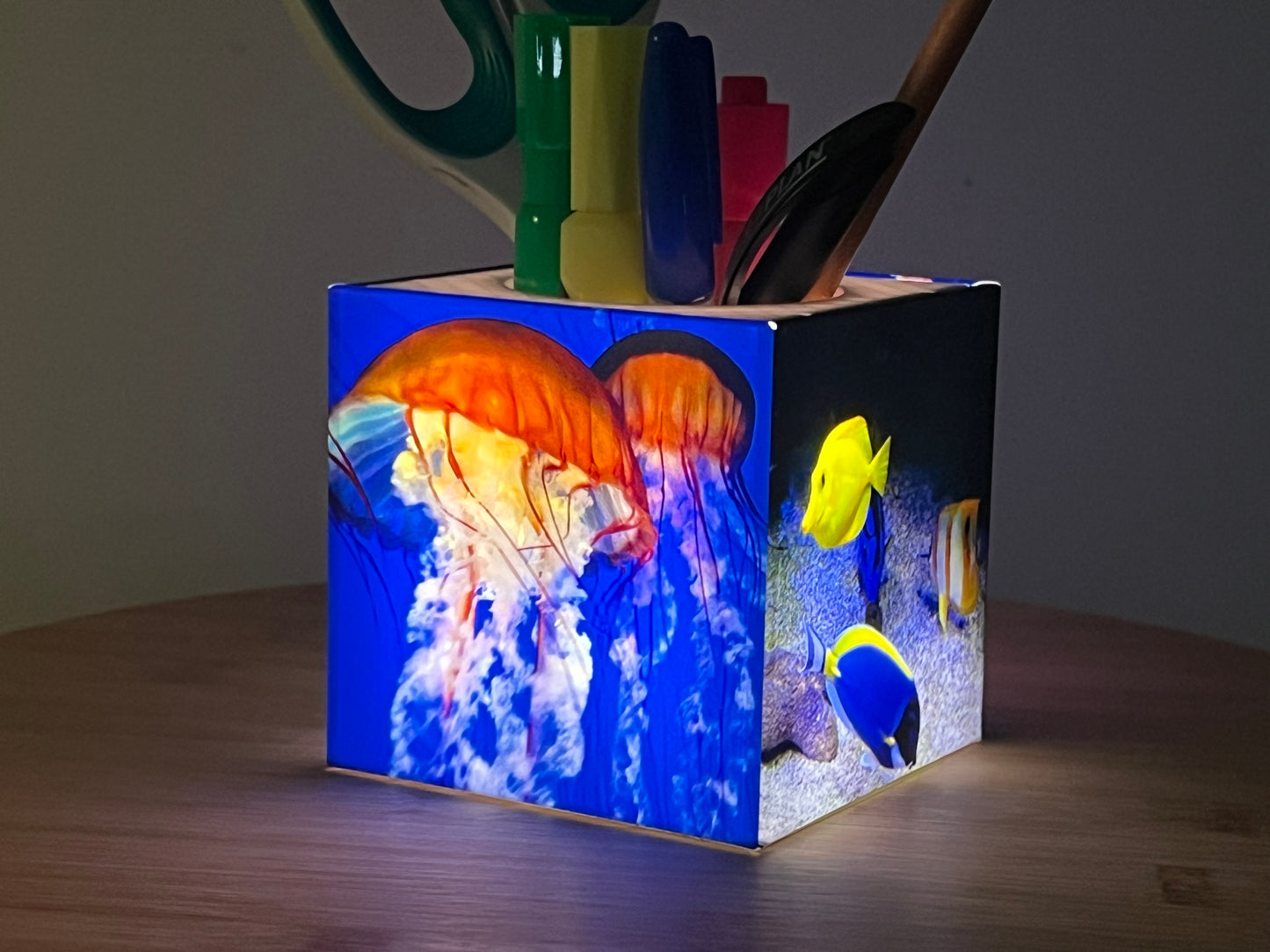 Porte-crayon lumineux carismo de poissons