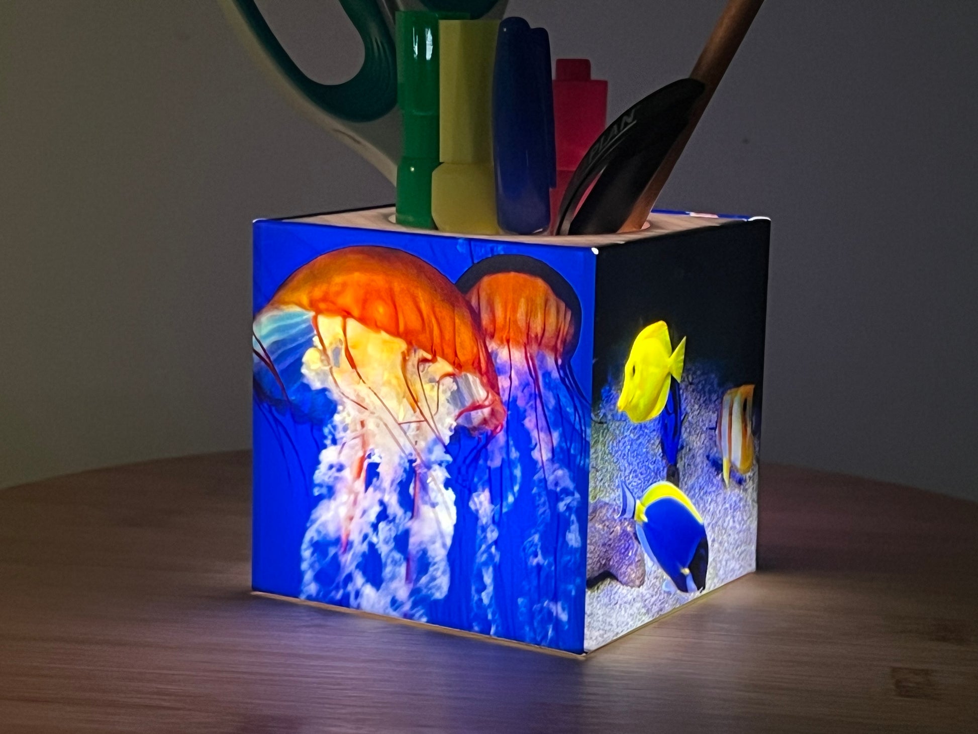 Porte-crayon lumineux carismo de poissons